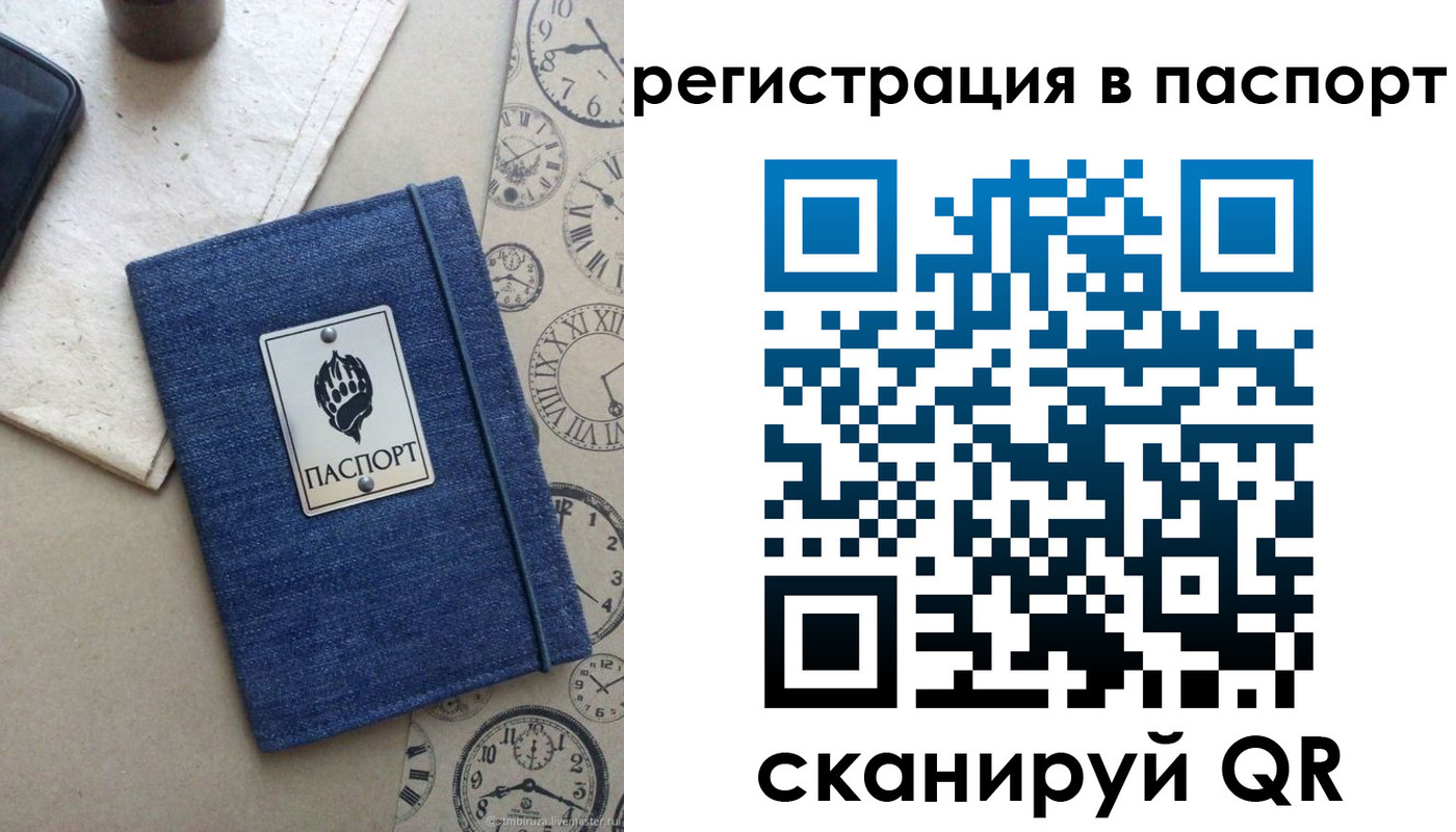 прописка в Сольцах
